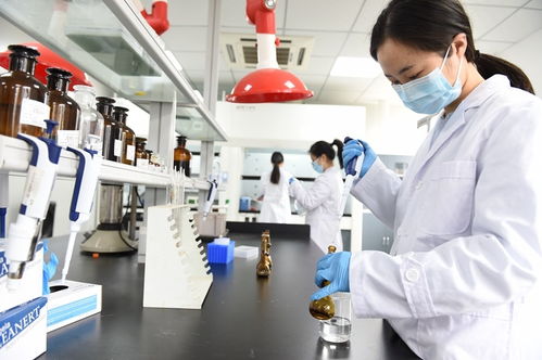 科技管家服務能手 資陽生產力促進中心如何以信息技術咨詢助力政企發(fā)展