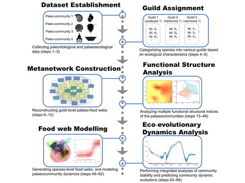 科學(xué)研究，技術(shù)先行——我校研究團隊創(chuàng)新研發(fā)生態(tài)模擬方法體系