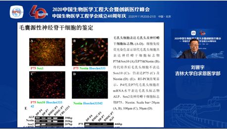 2020中國生物醫學工程大會暨創新醫療峰會 干細胞工程技術分會論壇——生物技術研究與開發