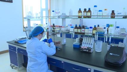 【新時代 新征程 新偉業(yè)】科技引領(lǐng)新突破 甘州區(qū)兩項生物技術(shù)項目獲省級重大專項立項