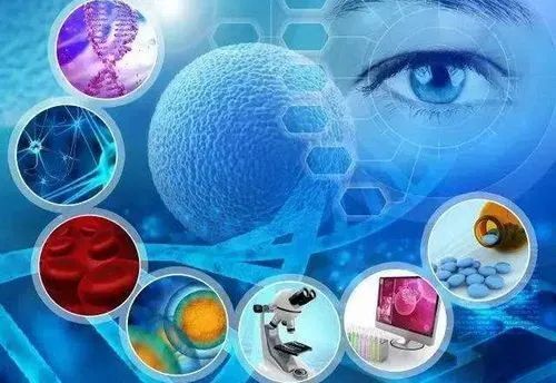 生物科學(xué)與生命科學(xué)的區(qū)別(二) 聚焦生物技術(shù)研究與開(kāi)發(fā)