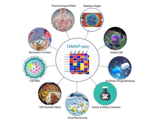 王棟、鄧赟與許俊泉團隊開發HiMAP-seq新技術并構建三億量級藥物基因表達數據庫CIGS，引領生物技術新前沿